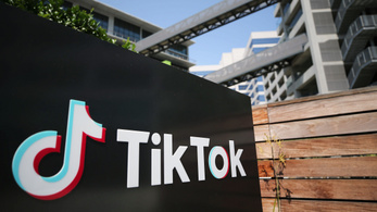 Már Hollandiában is kérik a kormányzati alkalmazottakat, hogy ne használják a TikTokot