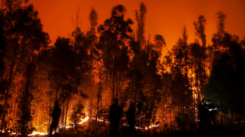 Súlyos erdőtüzek dúlnak Chilében, legalább 23 ember meghalt
