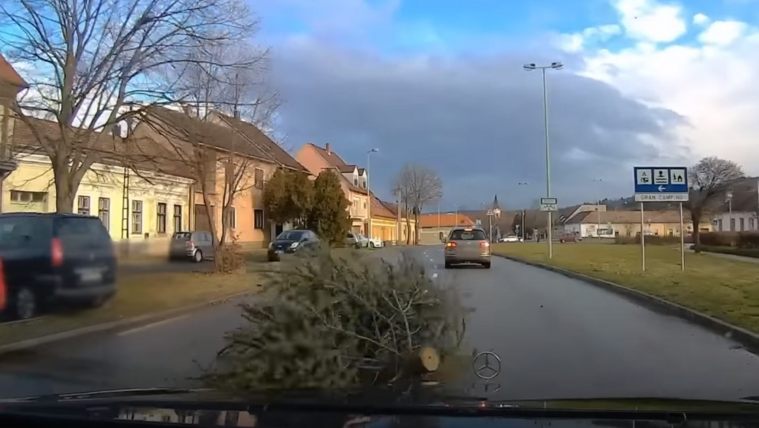 Videó: Egy kidobott fenyőfa talált telibe egy luxusautót Esztergomban