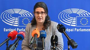 A Fidesz EP-képviselői szerint alkalmatlanná vált pozíciójára a zöldpárti politikus