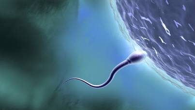 Fogamzásgátlás: elkábított spermium lehet a megoldás