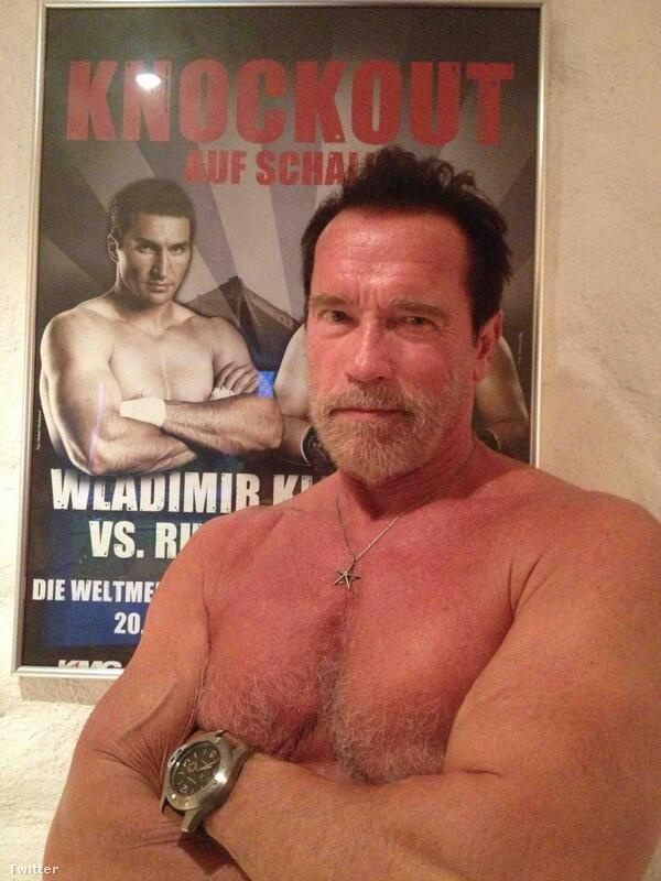 „Remek fotó! Fantasztikus látni, hogy az egyik kedvenc bajnokom ilyen jól nyomja a pózomat” – válaszolt Schwarzenegger Klitschkónak