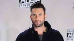 Milliókkal károsították meg a Maroon 5 frontemberét