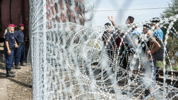 Rendkívül sok illegális bevándorló lépte át a magyar határszakaszt idén