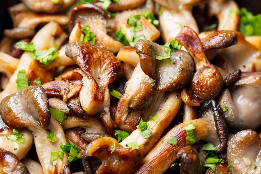 Kedvenc ételeink gombából: finom és laktató fogások húsmentes napokra