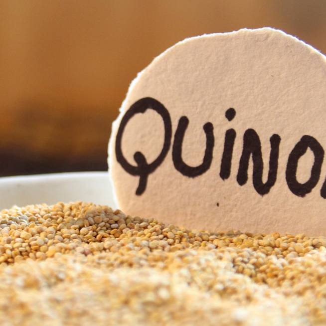 Kreatív és tápláló fogások quinoával: fehérjedús recepteket mutatunk