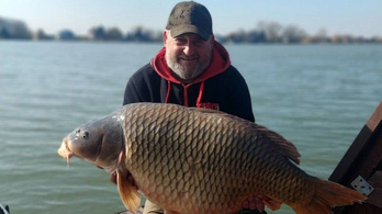 Ingyen pecázhat egy magyar, akkora halat fogott