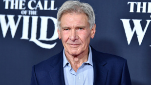 Harrison Ford egy három és félmilliárd forintos magángép tulajdonosa és egyéb lesifotók