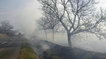 Az elmúlt két hétben 603 futballpályányi terület égett le Magyarországon