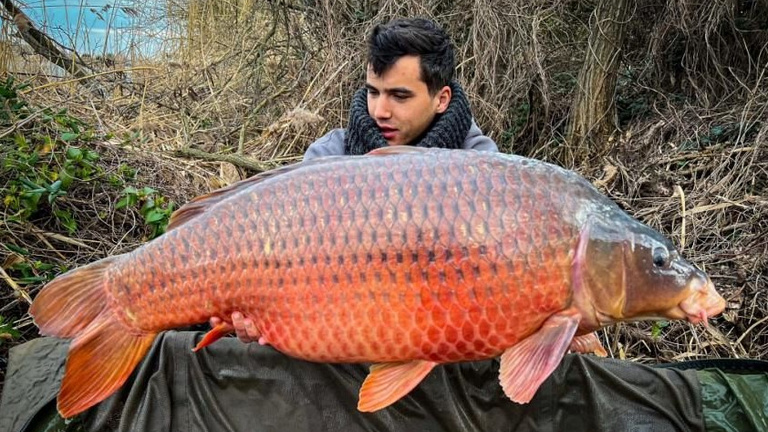 Fény derült a különleges kinézetű magyar hal titkára