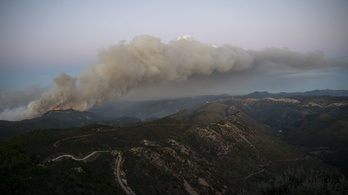 Több ezer hektáron pusztított az év első nagy erdőtüze Spanyolországban