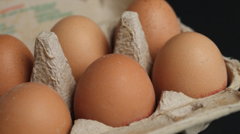 Az EU-átlagnál is magasabb a tojás ára Magyarországon