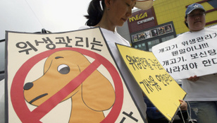 Betiltanák a kutya- és macskahús forgalmazását Dél-Koreában