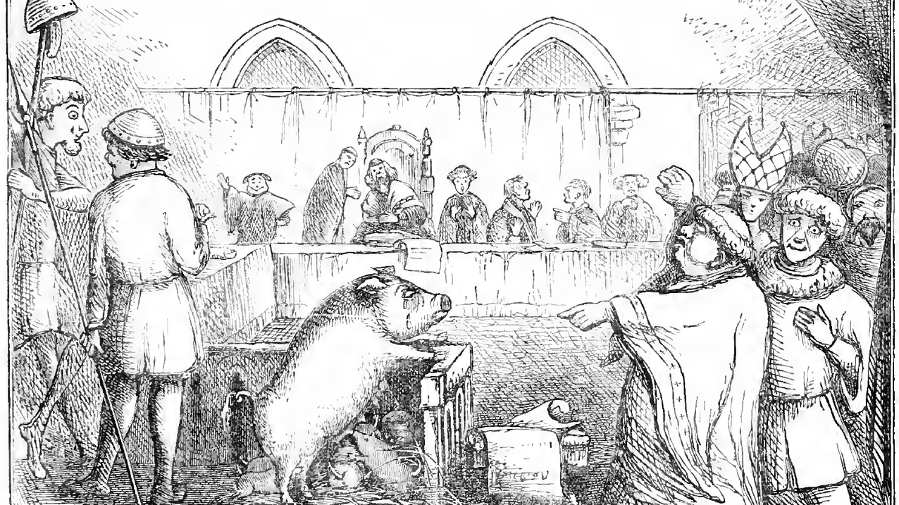Trial of a sow and pigs at Lavegny.png