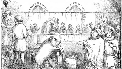 Disznókat és teheneket is komoly perekben ítéltek el vagy átkoztak ki a középkorban