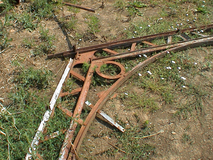 A miskolci szeméttelepen 2003-ban megtalált budai kis pálmaház maradványai
