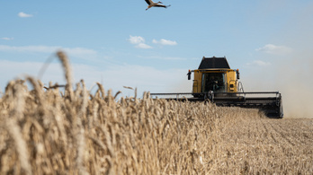 Ukrán gabonabotrány: A szomszédos országban minden lisztet megvizsgálnak