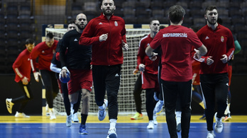 Remek játékkal óriási győzelmet aratott a válogatott Litvánia ellen az Eb-selejtezőn