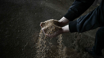 Rendkívüli megállapodás jött létre az ukrán gabona behozatalával kapcsolatban