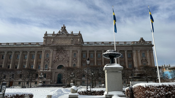 Hackerek ostromolták meg a svéd parlamentet