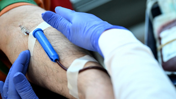 Az Egyesült Államokban újra adhatnak vért a meleg és biszexuális férfiak