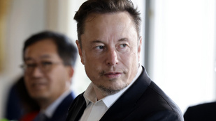 Elon Muskból szélsőjobboldali elnyomó lett?