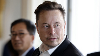 Elon Muskot úgy összerugdosták, hogy felismerhetetlenségig torzult az arca