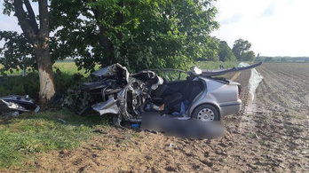 Meghalt a sofőr, miután nekicsapódott egy fának Somogy vármegyében