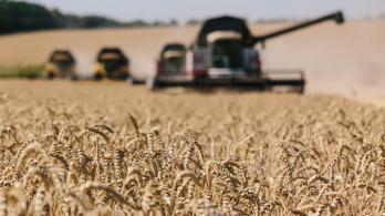 A magyar gazdák Brüsszelben tüntetnek az ukrán gabona tilalmának meghosszabbításáért