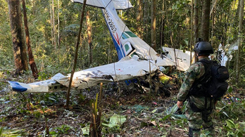 Túlélhetik-e a lezuhant repülőgépből eltűnt gyerekek az amazonasi dzsungelt?