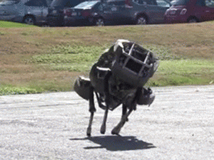 Észbontó a katonai robotmacska futása