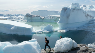 Grönlandon találhatták meg a globális felmelegedés ellenszerét, ami a söripart is segíti