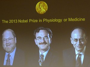 Sejtek szállítórendszerével nyertek Nobelt