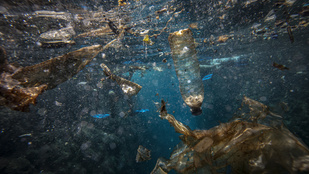 Elképesztő mennyiségű műanyag van a tengereinkben