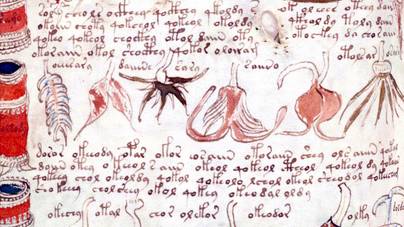 Kihalt nyelv utolsó emléke vagy boszorkányok kézikönyve a megfejthetetlen kézirat?