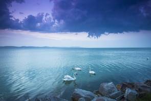 A Balatonnál is nagyobb tó volt Magyarország területén: bálnák és delfinek éltek benne
