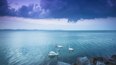 A Balatonnál is nagyobb tó volt Magyarország területén: bálnák és delfinek éltek benne