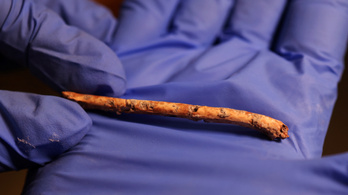 Több mint tízezer éves, madárcsontból készült furulyát fedeztek fel a régészek