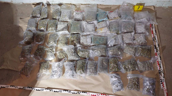 Húsz kiló kábítószert foglaltak le a nyomozók egy férfi garázsában