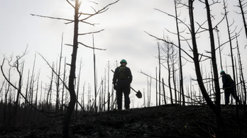 Kanadában már hatmillió hektár erdő égett le, nagyot romlott a levegő minősége