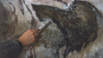 Neander-völgyiek által készített barlangrajzokra bukkantak Franciaországban