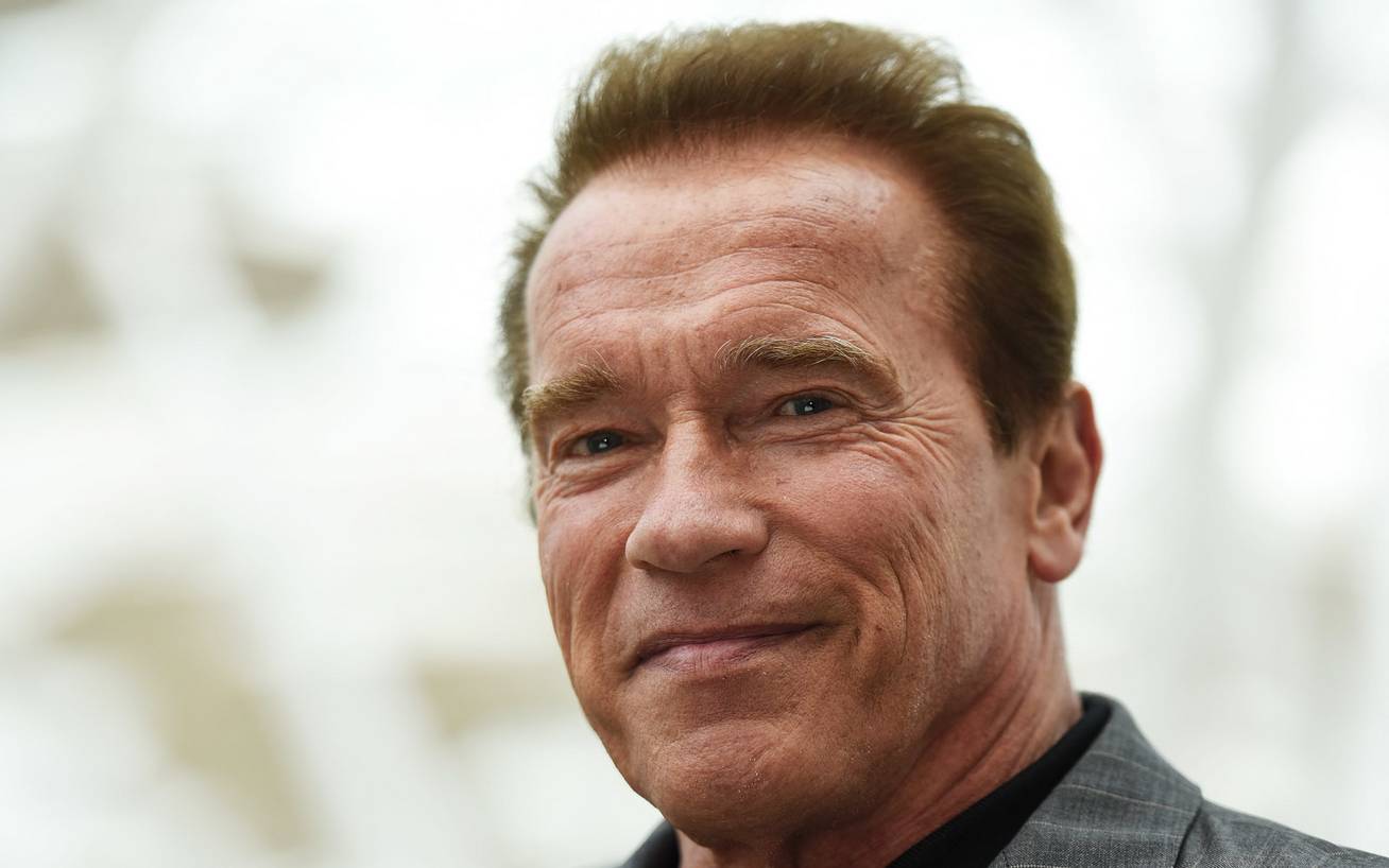 Arnold Schwarzenegger párja, Heather