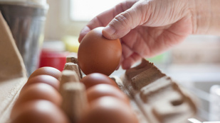 Hihetetlen operáció: 15 tojást távolítottak el egy férfi végbeléből