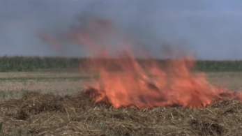 Drámai videón, hogy mekkora károkat okozhatnak a mezőgazdasági tüzek