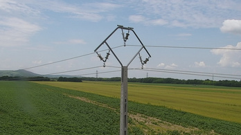 Speciális, sörnyitó formájú villanyoszlopot építettek Baranyában a madarak védelméért