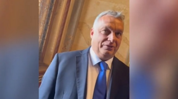 Orbán Viktor Hadházy Ákosnak: Egy szőrét hullató, sompolygó sunyi róka, magának nem akarunk mondani semmit