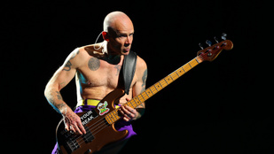 Havi 25 millióért adja bérbe otthonát a Red Hot Chili Peppers basszusgitárosa - nézzen körül benne