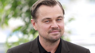 Leonardo DiCaprio egyedi oktatással harcolna a klímaváltozás ellen