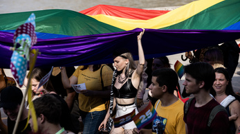 Túlterheléses támadás érte a Pride honlapját