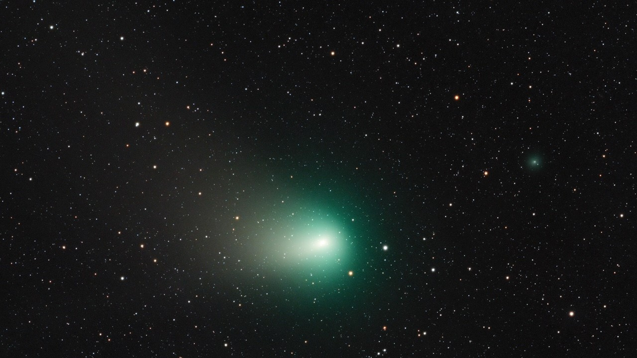 Contrasting Comets
